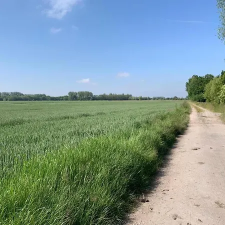 Rodin With Location
