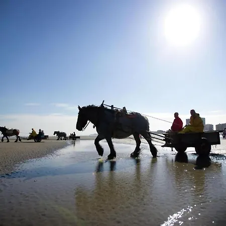 In Near The Apartamento *