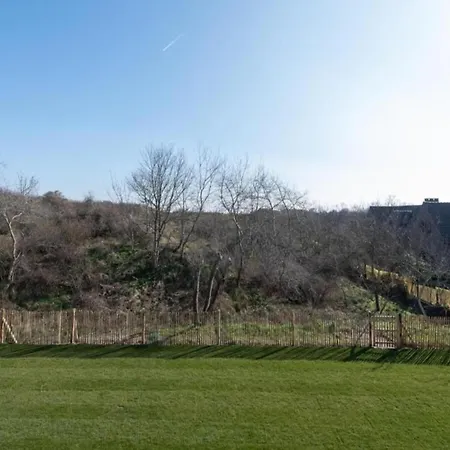 In Near The Nieuwpoort