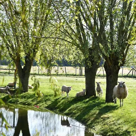 Apartamento In Near The